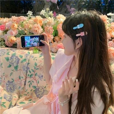 梅花档案